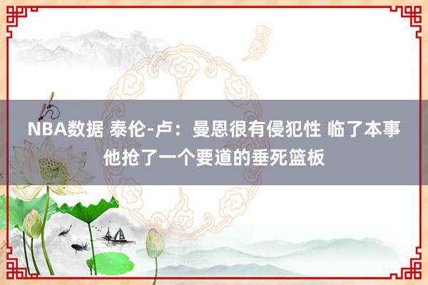 NBA数据 泰伦-卢：曼恩很有侵犯性 临了本事他抢了一个要道的垂死篮板