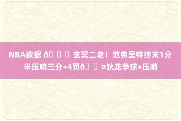 NBA数据 🚀玄冥二老！范弗里特终末1分半压哨三分+4罚😤狄龙争球+压哨