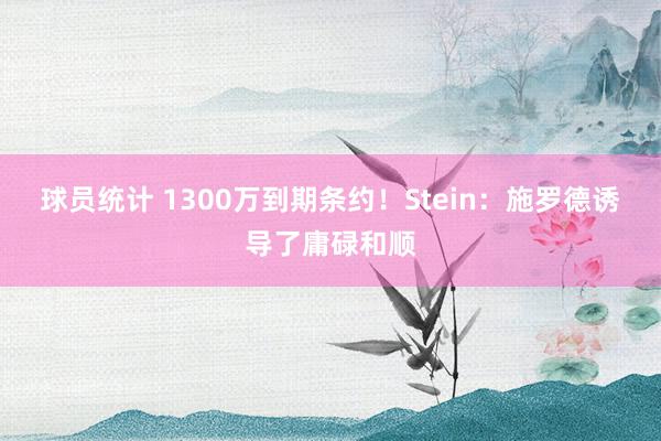 球员统计 1300万到期条约！Stein：施罗德诱导了庸碌和顺