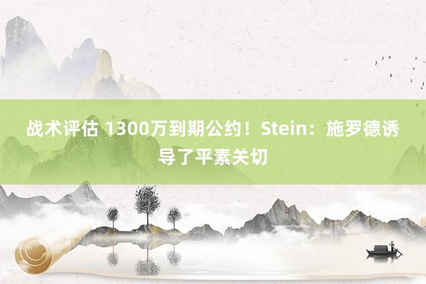 战术评估 1300万到期公约！Stein：施罗德诱导了平素关切