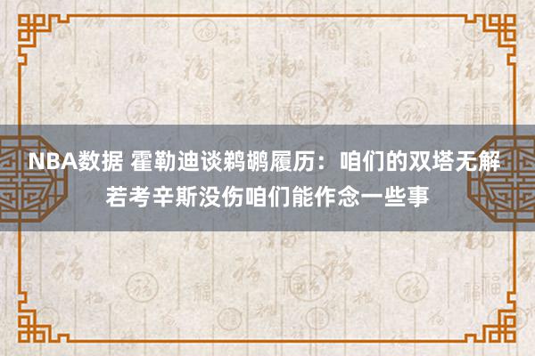 NBA数据 霍勒迪谈鹈鹕履历：咱们的双塔无解 若考辛斯没伤咱们能作念一些事