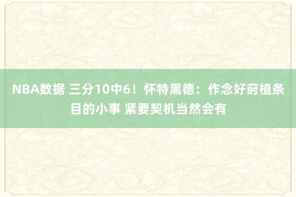 NBA数据 三分10中6！怀特黑德：作念好莳植条目的小事 紧要契机当然会有