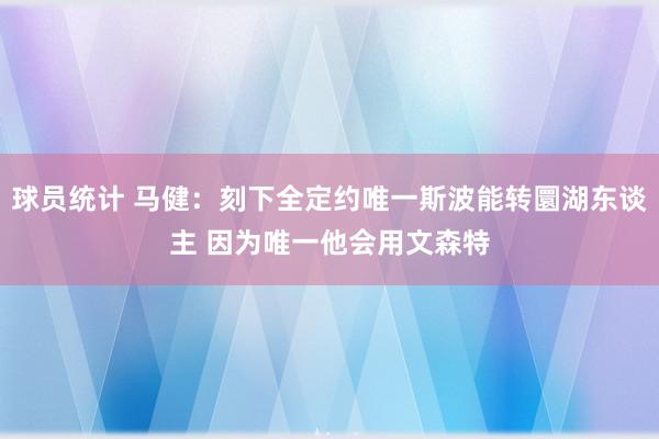 球员统计 马健：刻下全定约唯一斯波能转圜湖东谈主 因为唯一他会用文森特