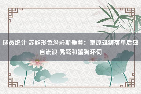 球员统计 苏群形色詹姆斯垂暮：草原雄狮落单后独自流浪 秃鹫和鬣狗环伺