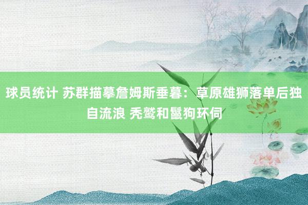 球员统计 苏群描摹詹姆斯垂暮：草原雄狮落单后独自流浪 秃鹫和鬣狗环伺