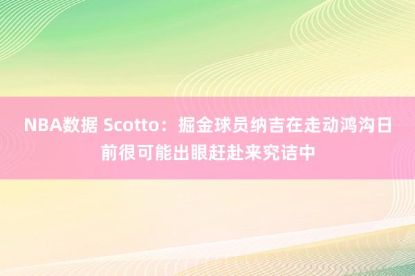 NBA数据 Scotto：掘金球员纳吉在走动鸿沟日前很可能出眼赶赴来究诘中