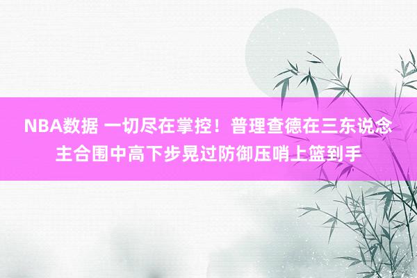 NBA数据 一切尽在掌控！普理查德在三东说念主合围中高下步晃过防御压哨上篮到手