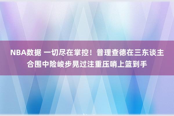 NBA数据 一切尽在掌控！普理查德在三东谈主合围中险峻步晃过注重压哨上篮到手