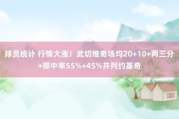 球员统计 行情大涨！武切维奇场均20+10+两三分+掷中率55%+45%并列约基奇